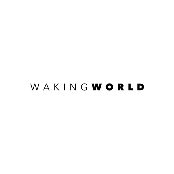 Artwork for WakingWorld