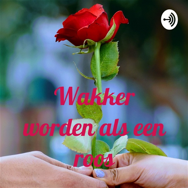 Artwork for Wakker met roos