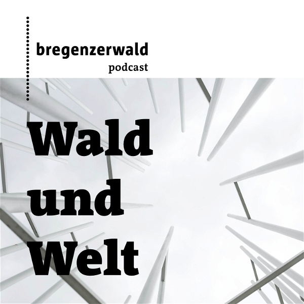Artwork for Wald und Welt – Der Bregenzerwald Podcast