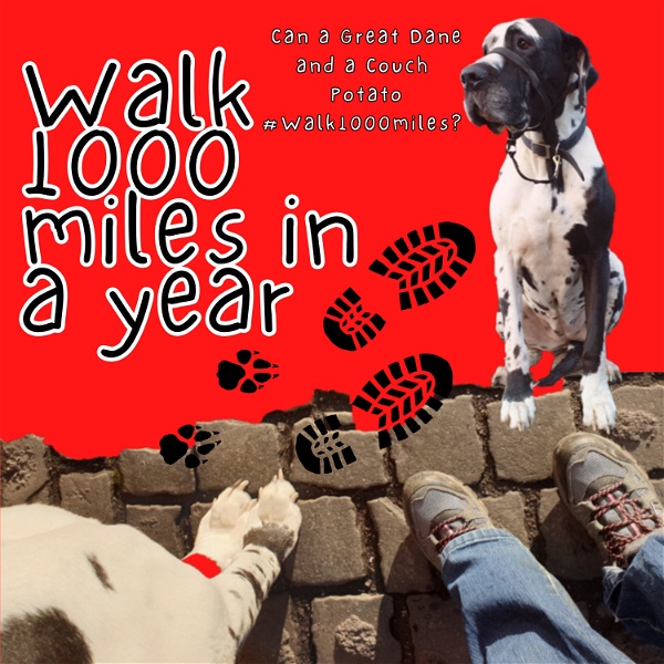 Artwork for Walk 1000 miles a Year; Can a Great Dane and a Couch Potato #walk1000miles 2021?