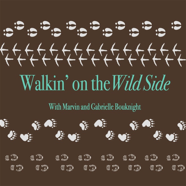 Artwork for Walkin' on the Wild Side