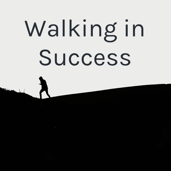 Artwork for Walking in Success