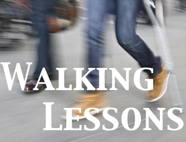 Artwork for Walking Lessons for Christians Who Sometimes Fall Down