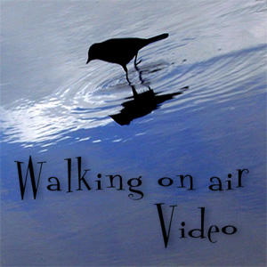Artwork for Walking On Air
