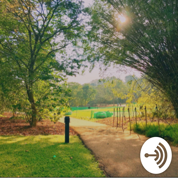 Artwork for Walking on Eggshells