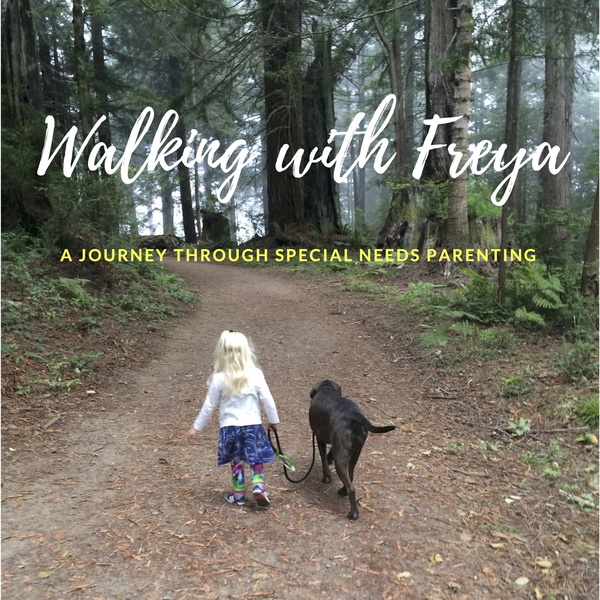 Artwork for Walking with Freya