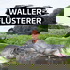 Waller-Flüsterer