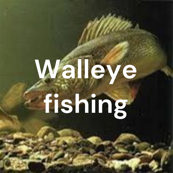 Artwork for Walleye fishing
