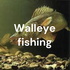 Walleye fishing