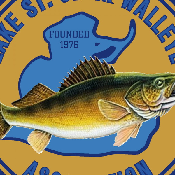 Artwork for Walleye World Podcast