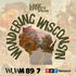 Wandering Wisconsin