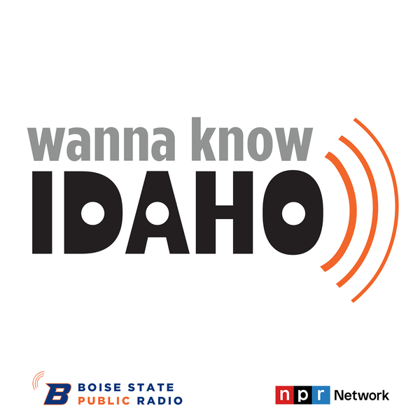 Artwork for Wanna Know Idaho