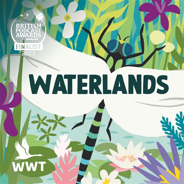 Artwork for Waterlands