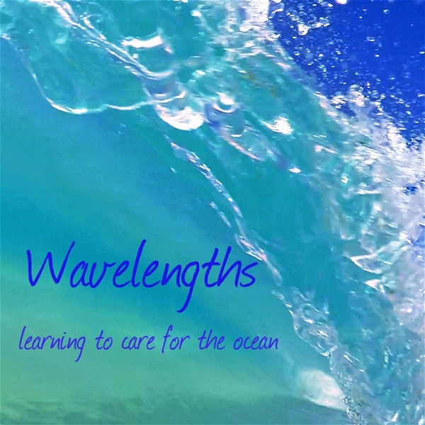 Artwork for Wavelengths Ocean Podcast