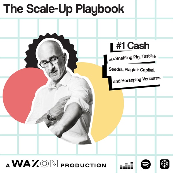 Artwork for The Scale Up Playbook