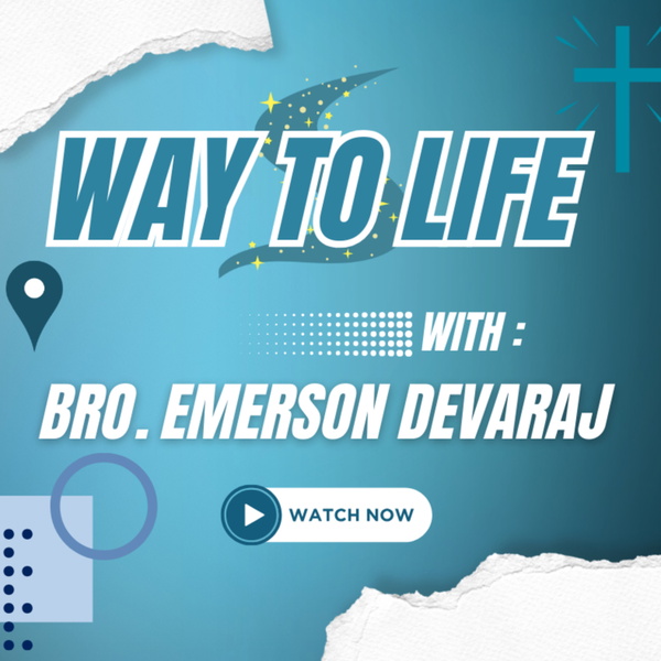 Artwork for Way to Life