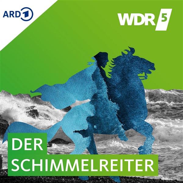 Artwork for WDR 5 Der Schimmelreiter