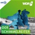 WDR 5 Der Schimmelreiter - Hörbuch