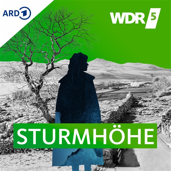 Artwork for WDR 5 Sturmhöhe Hörbuch