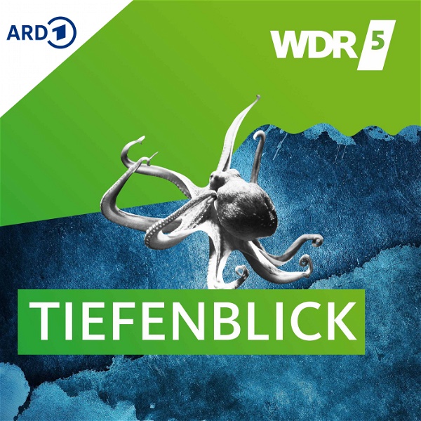 Artwork for WDR 5 Tiefenblick