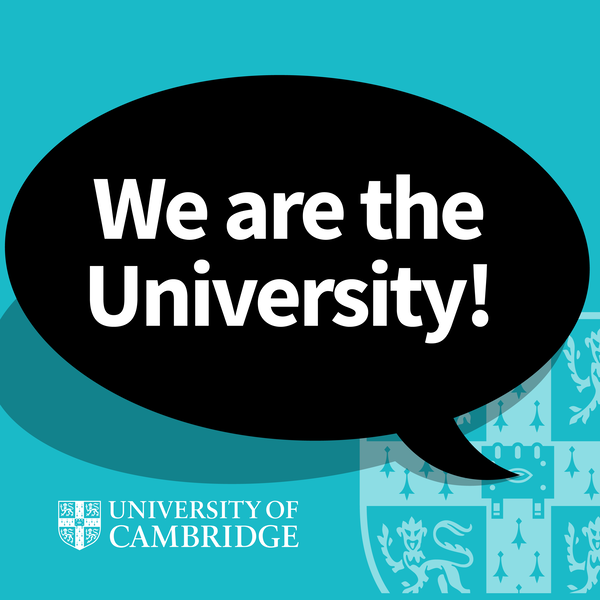 Artwork for We Are The University