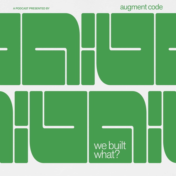 Artwork for We Built What?