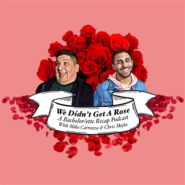 Artwork for We Didn't Get a Rose