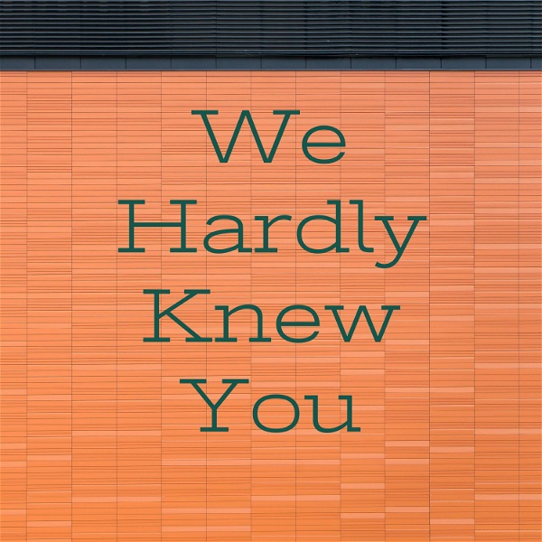 Artwork for We Hardly Knew You