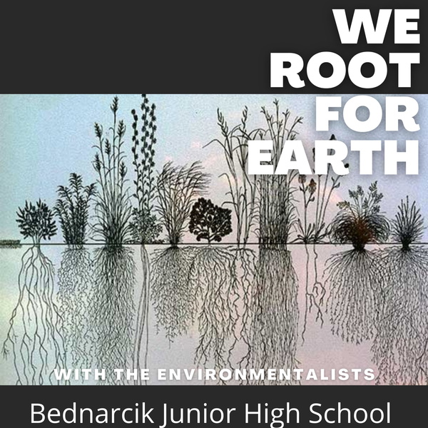 Artwork for We Root for Earth