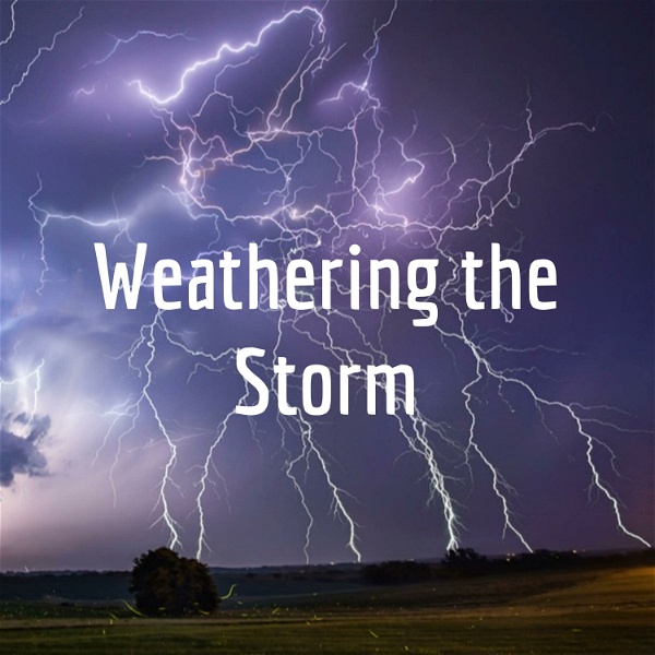 Artwork for Weathering the Storm