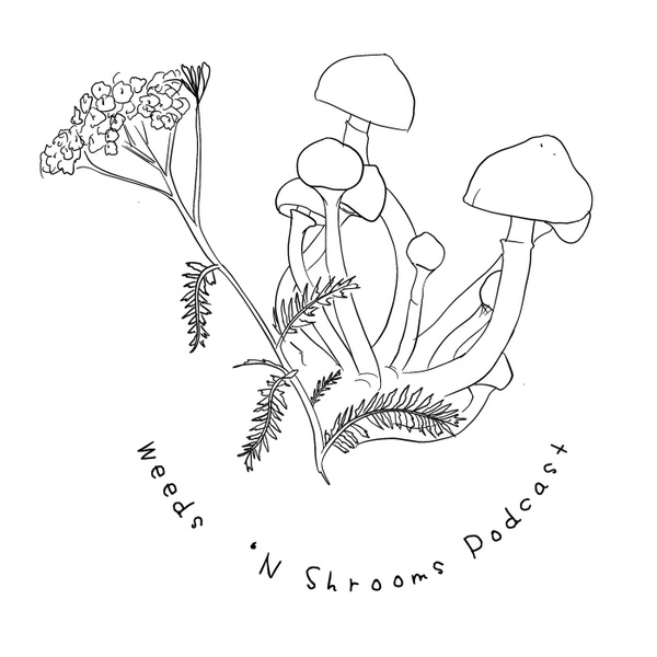 Artwork for Weeds 'N Shrooms
