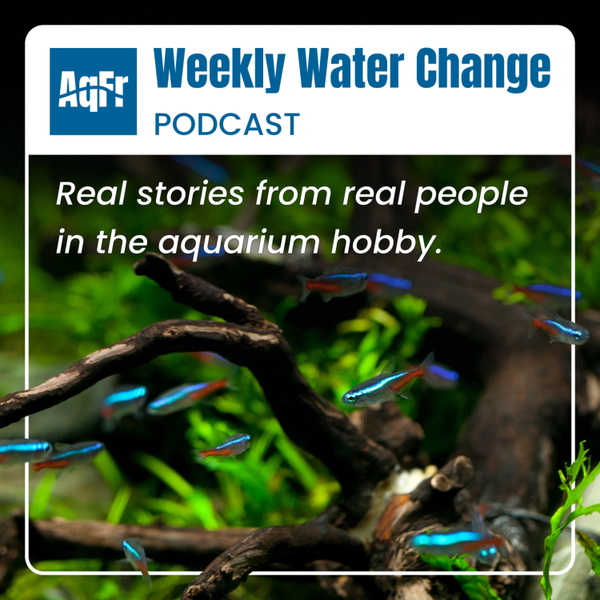 Artwork for Weekly Water Change