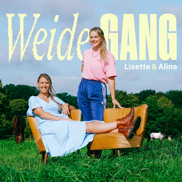 Artwork for WeideGANG