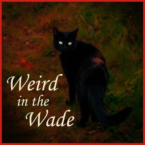 Artwork for Weird in the Wade