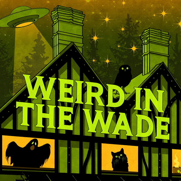 Artwork for Weird in the Wade