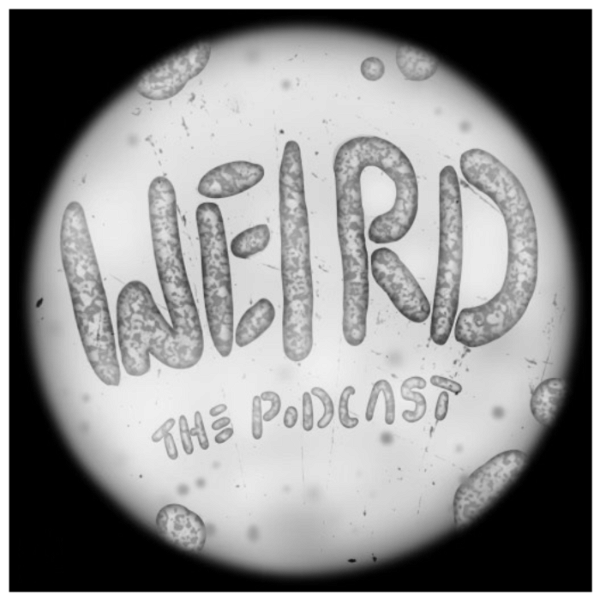 Artwork for Weird: The Podcast