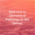 Welcome to Elements of Pathology at NUI Galway - Class Podcasts