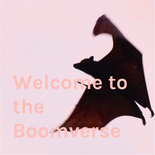 Artwork for Welcome to the Boomverse