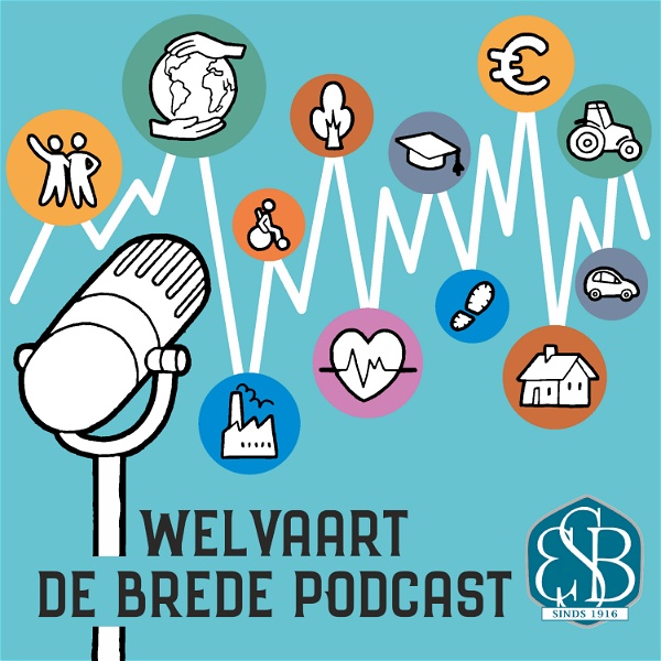 Artwork for Welvaart, de brede podcast