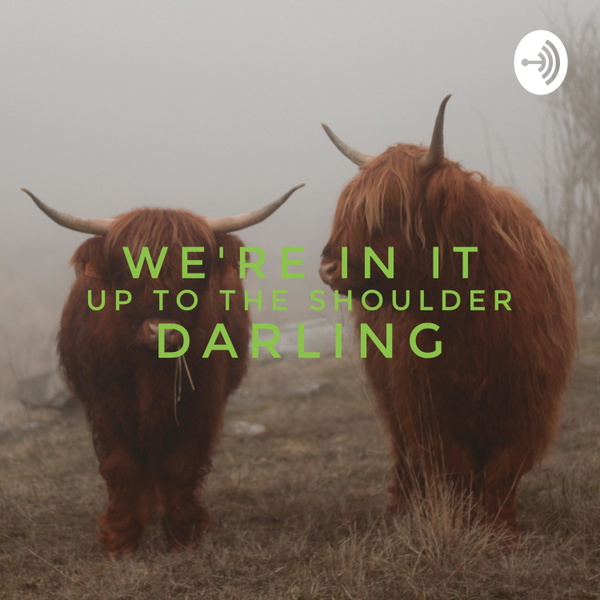 Artwork for We're In It Up To The Shoulder, Darling
