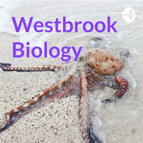 Artwork for Westbrook Biology