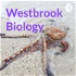 Westbrook Biology