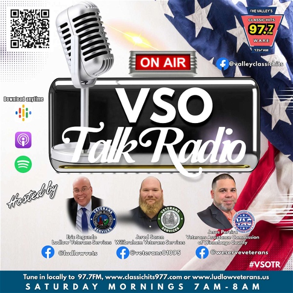 Artwork for VSO Talk Radio