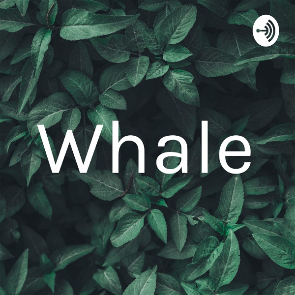 Artwork for Whale