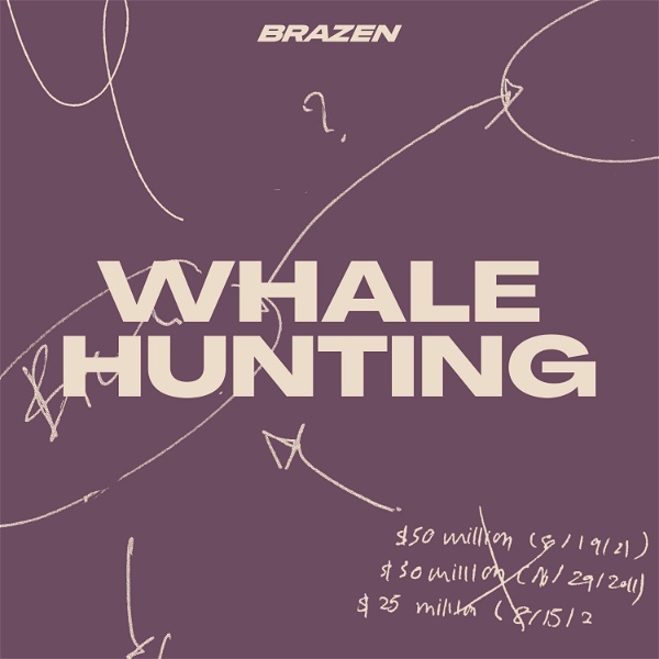 Artwork for Whale Hunting