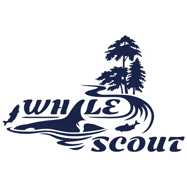 Artwork for Whale Scout Podcast