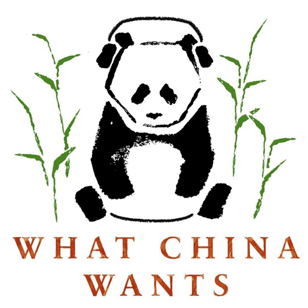 Artwork for What China Wants