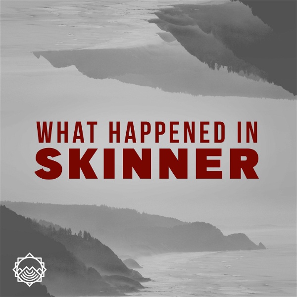 Artwork for What Happened in Skinner