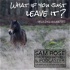 What if you just leave it? Rewilding unwrapped