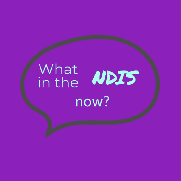 Artwork for What in the NDIS now?
